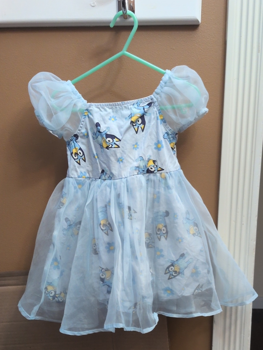 Bluey dress